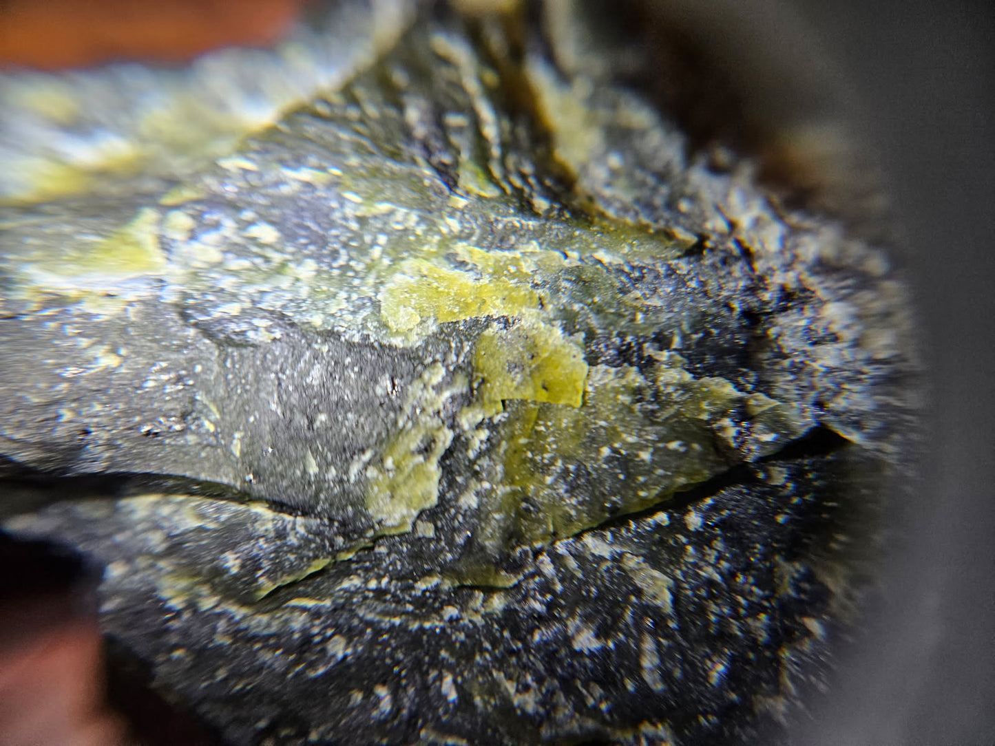 Magnetite, Chromite & Serpentine (Self-find, Analyzed) | Mineral Display Box