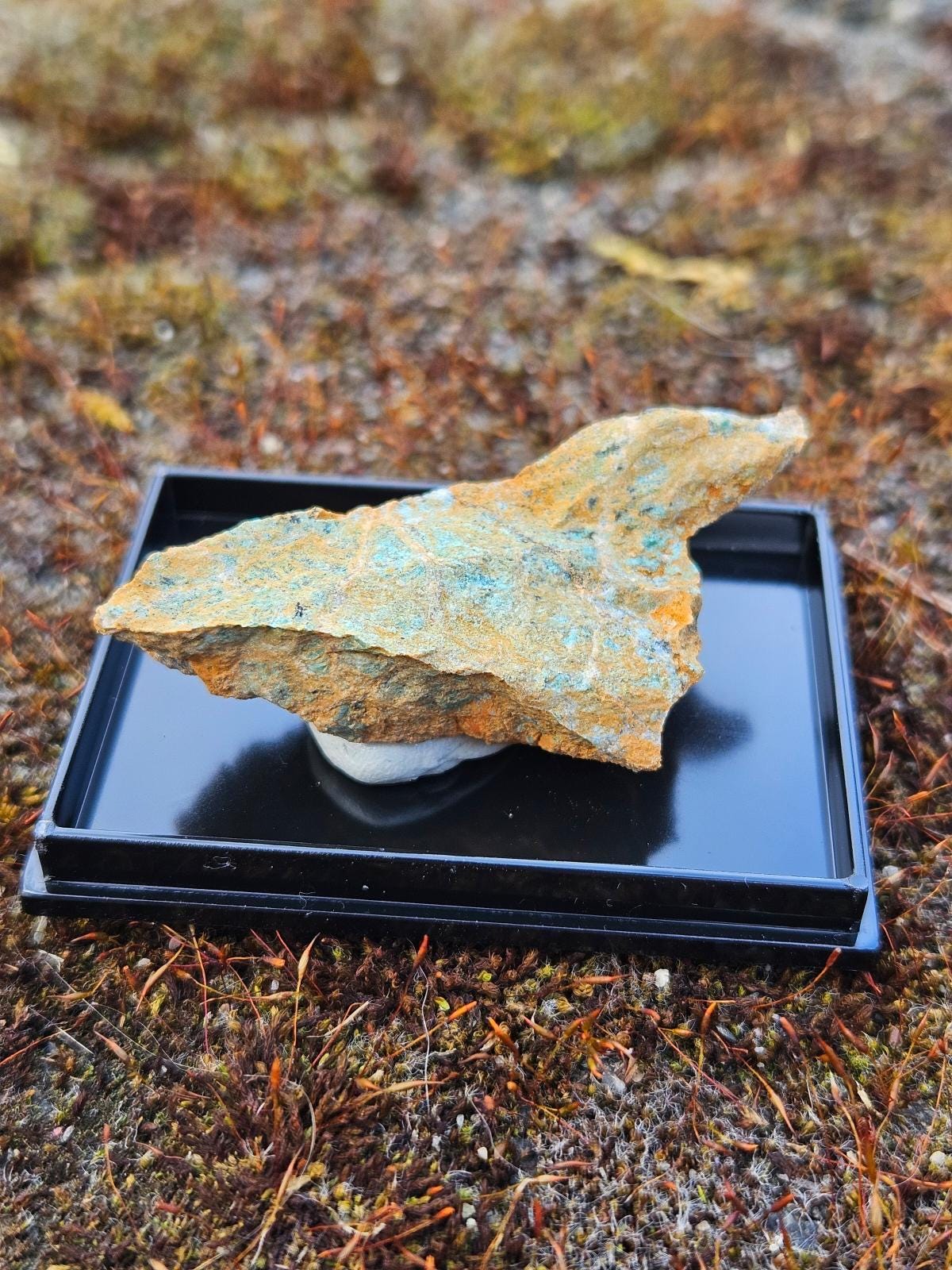 Listwanite | Mineral Display Box