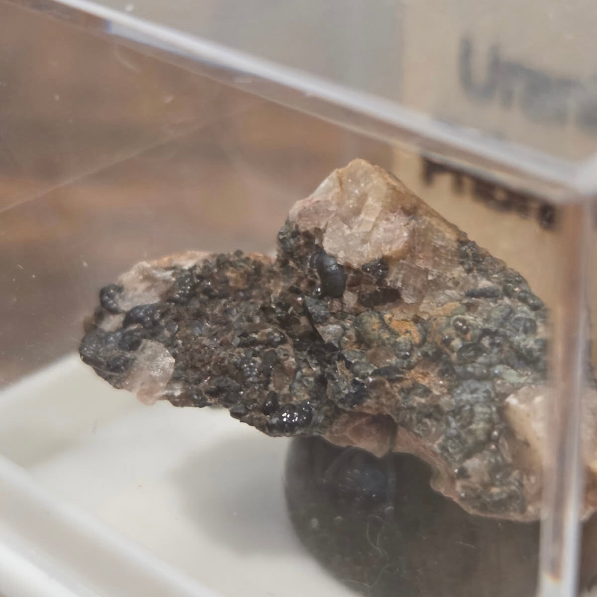 Botryoidal Uraninite (Czechia) | Rare Mineral Display
