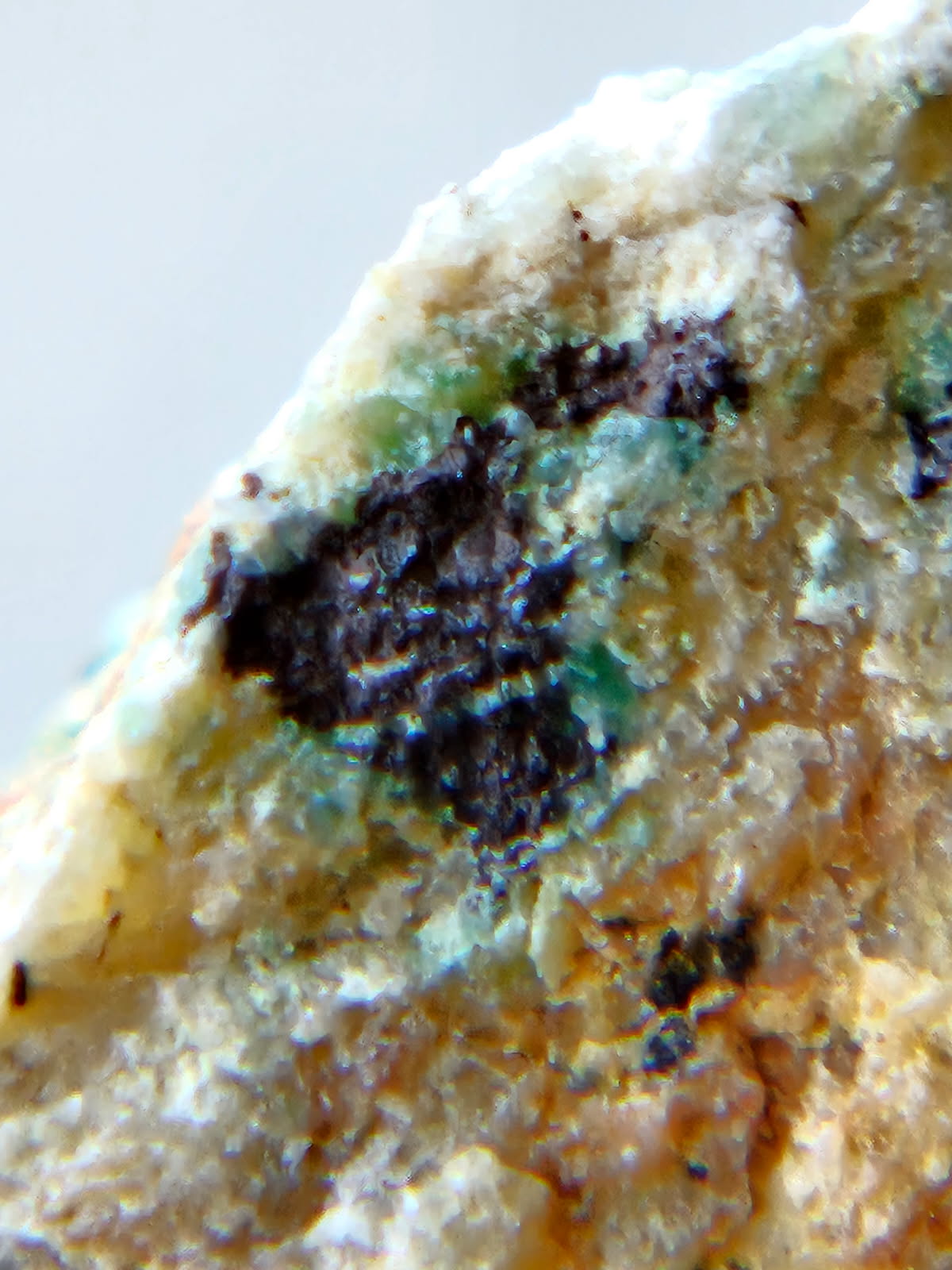Talc, Antigorite & Brucite (Self-find, Analyzed) | Acrylic Mineral Display