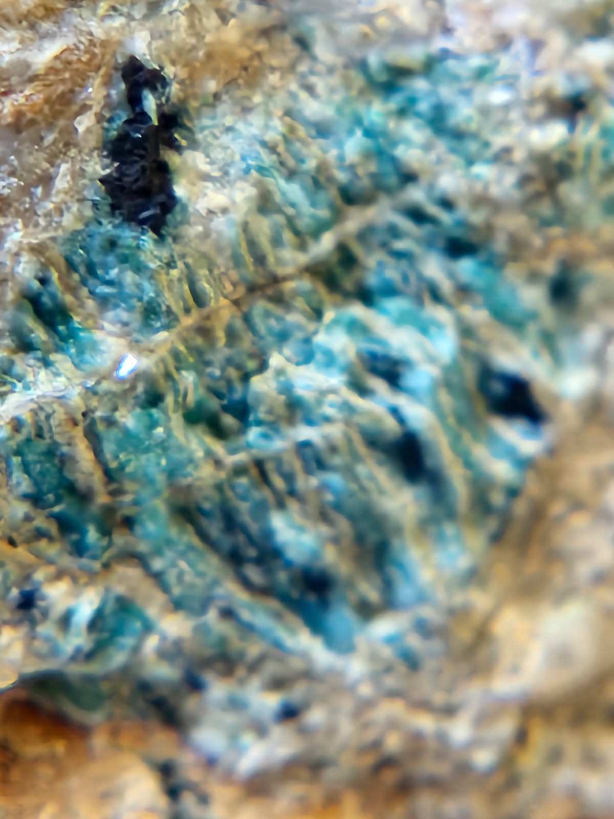 Talc, Antigorite & Brucite (Self-find, Analyzed) | Acrylic Mineral Display