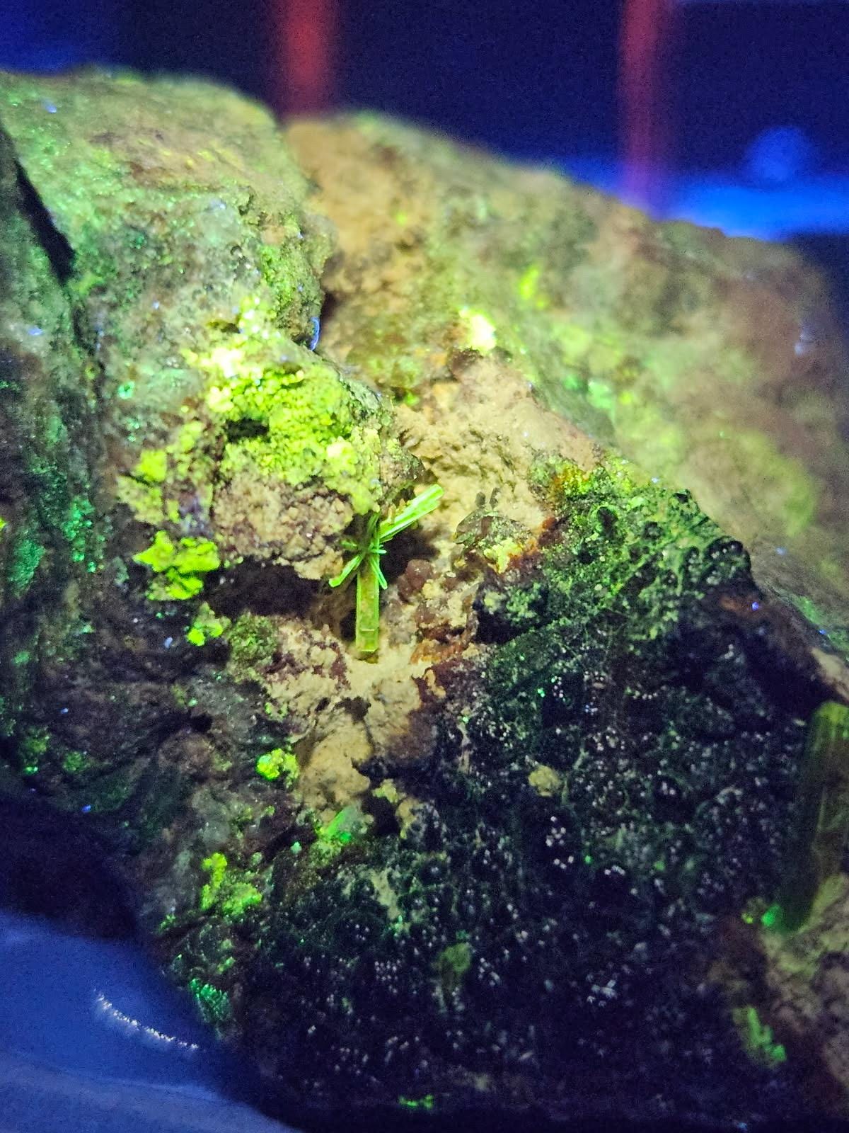 Arsenuranospathite (Fluorescent) | Rare Mineral Display