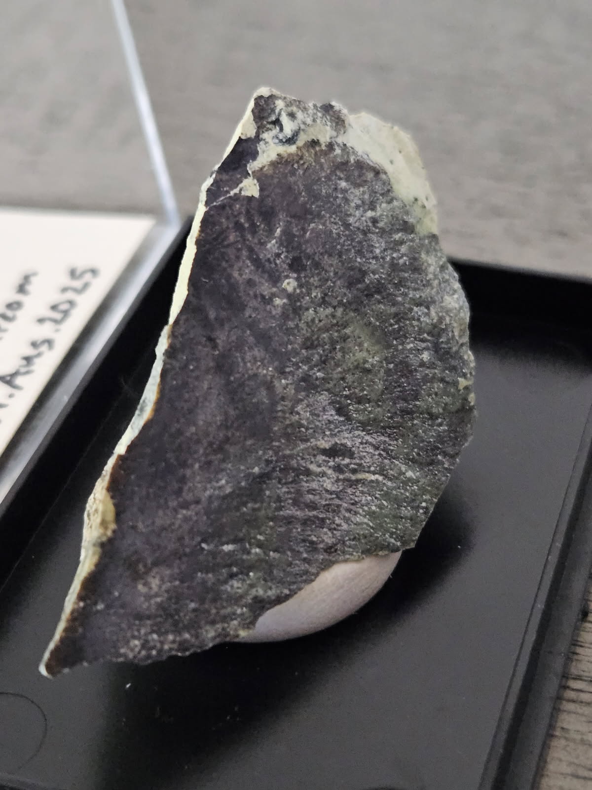 Magnetite, Chromite & Serpentine (Self-find, Analyzed)| Mineral Display Box