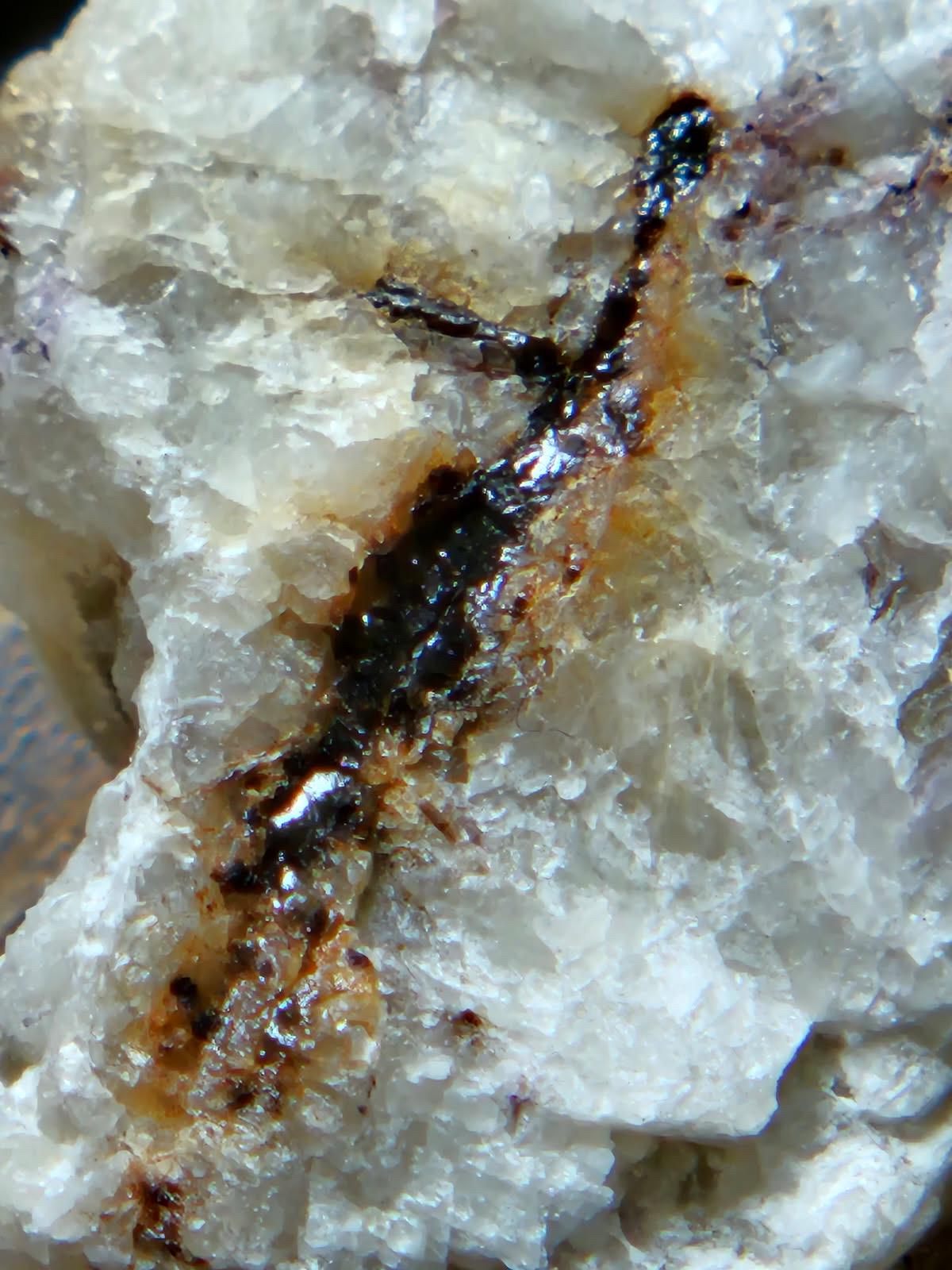 Yttrotantalite (Y) | Rare Mineral Display