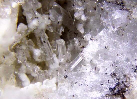 Palermoite (Li-Sr Phosphate) | Mineral Display Box