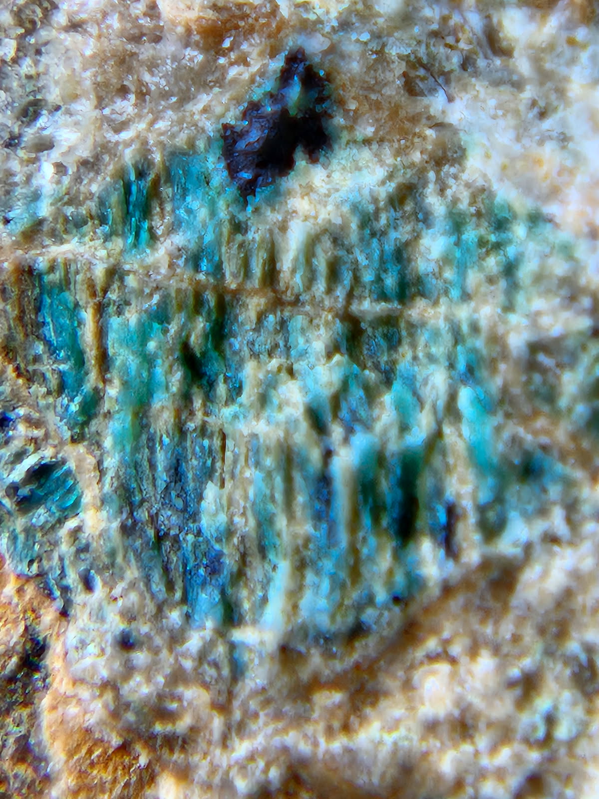 Talc, Antigorite & Brucite (Self-find, Analyzed) | Acrylic Mineral Display