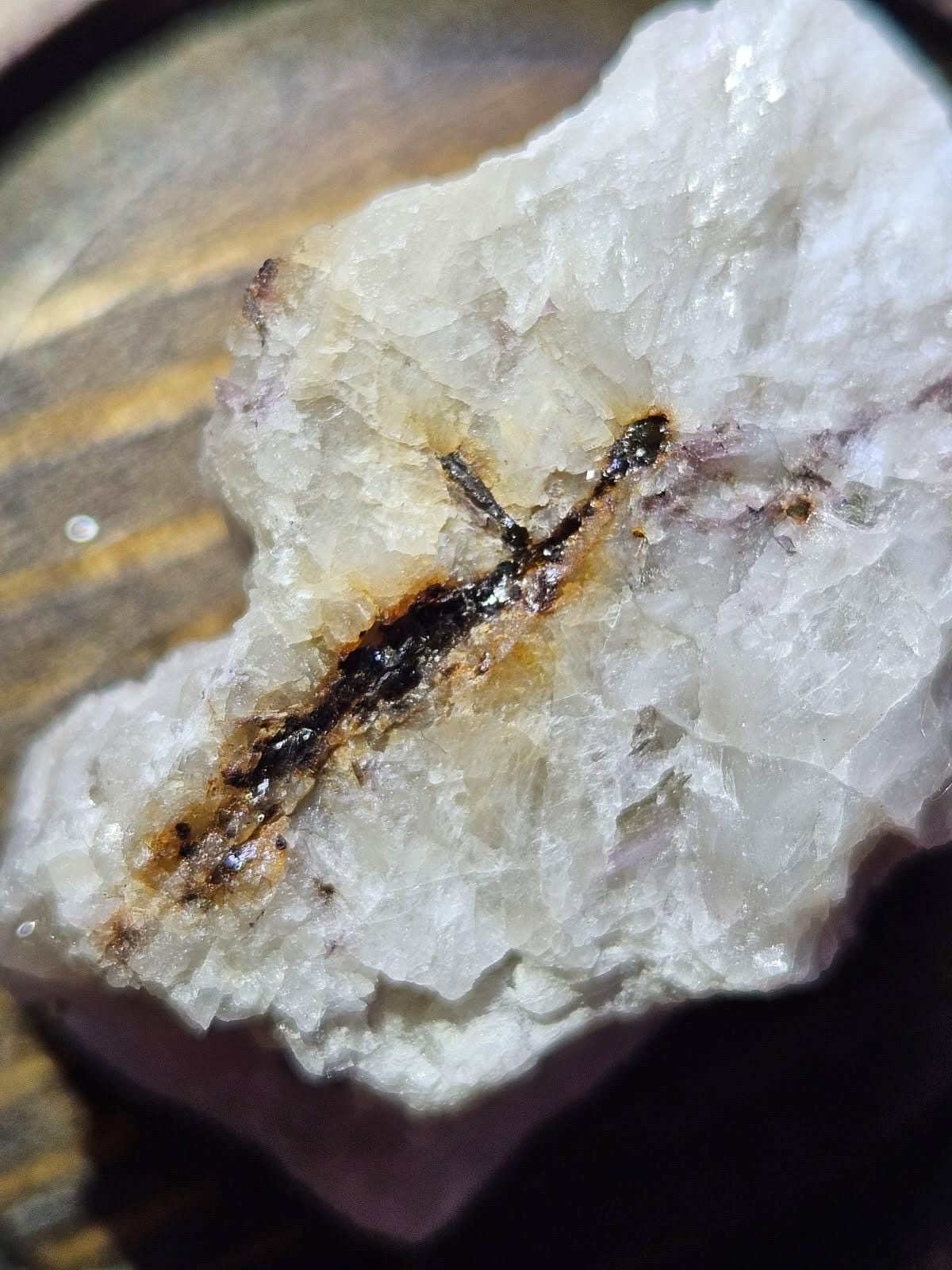 Yttrotantalite (Y) | Rare Mineral Display