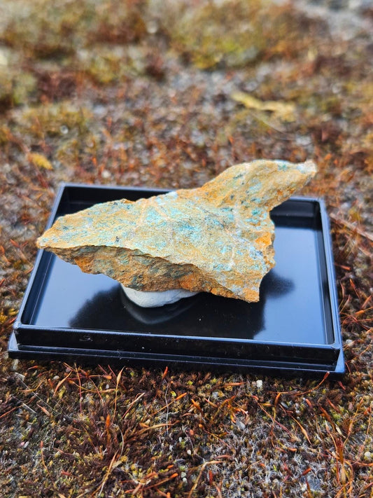 Listwanite | Mineral Display Box