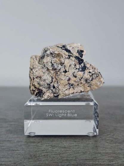 Zektzerite (Fluorescent UV SW) | Rare Mineral Display