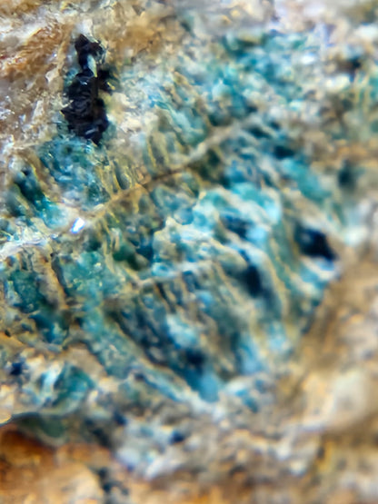 Talc, Antigorite & Brucite (Self-find, Analyzed) | Acrylic Mineral Display