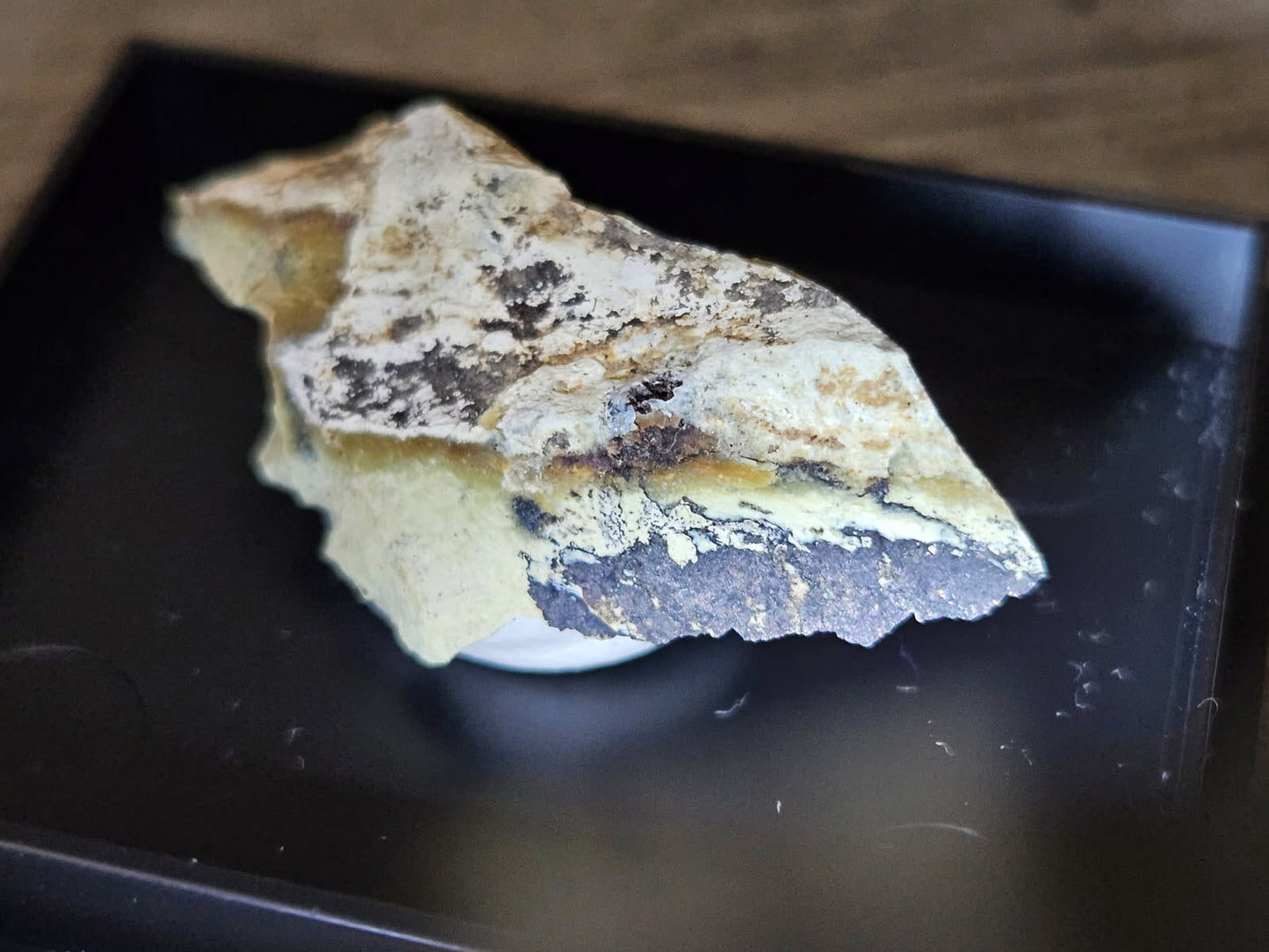 Magnetite, Chromite & Serpentine (Self-find, Analyzed) | Mineral Display Box