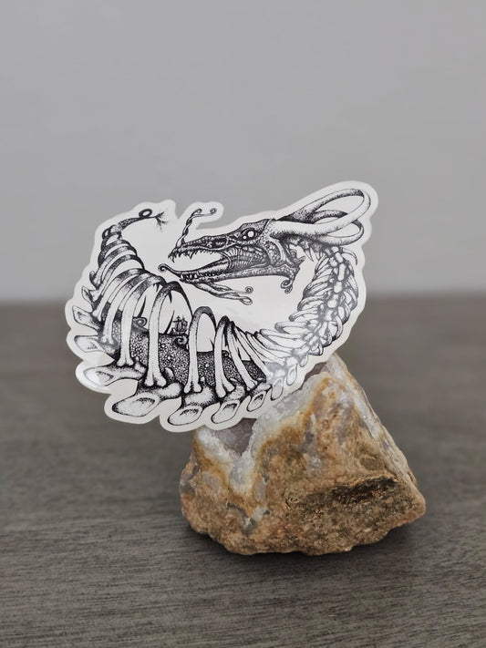 Sea Whip | Clear Sticker | Shadow & Bone