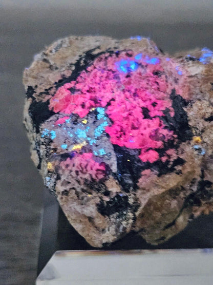 Zektzerite (Fluorescent UV SW) | Rare Mineral Display
