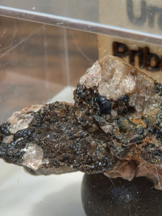 Botryoidal Uraninite (Czechia) | Rare Mineral Display