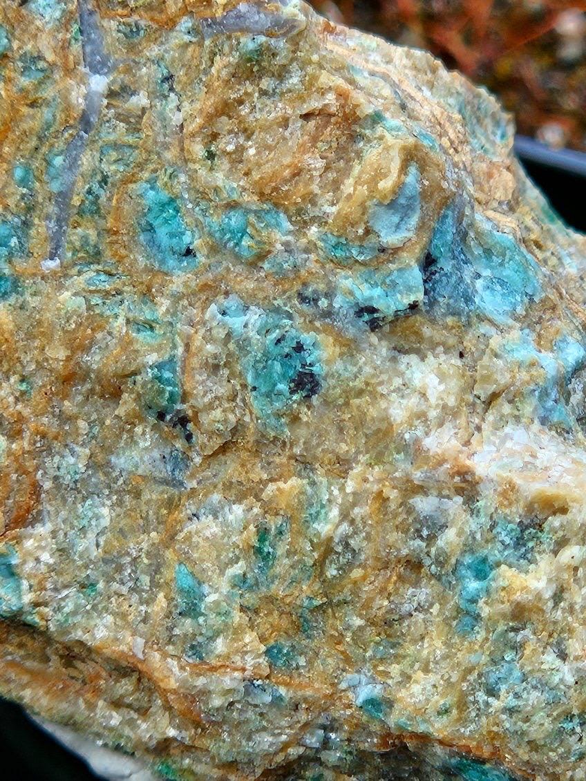Listwanite | Mineral Display Box
