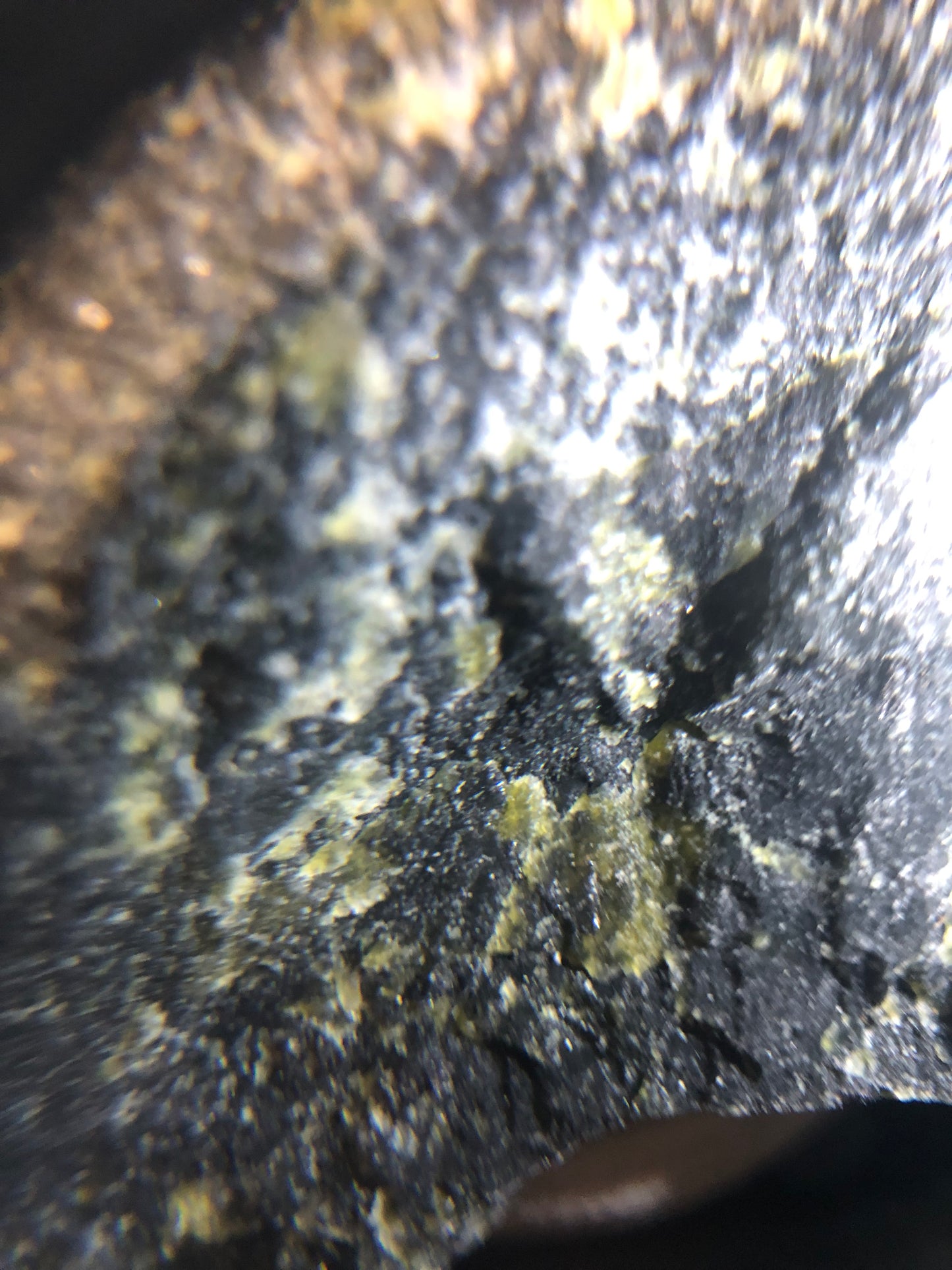 Magnetite, Chromite & Serpentine (Self-find, Analyzed) | Mineral Display Box