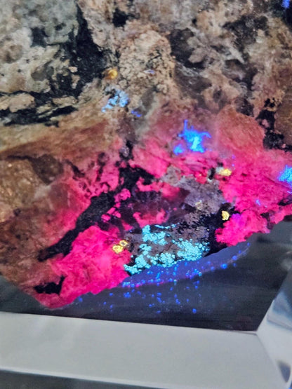 Zektzerite (Fluorescent UV SW) | Rare Mineral Display