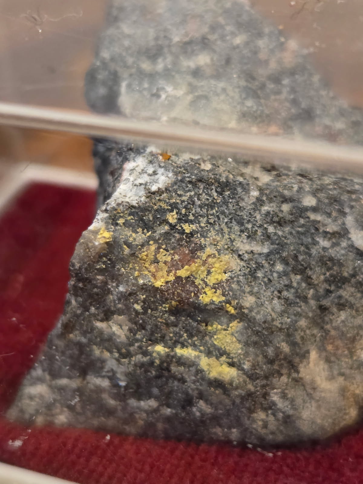 Čejkaite (Czechia) | Rare Mineral Specimen