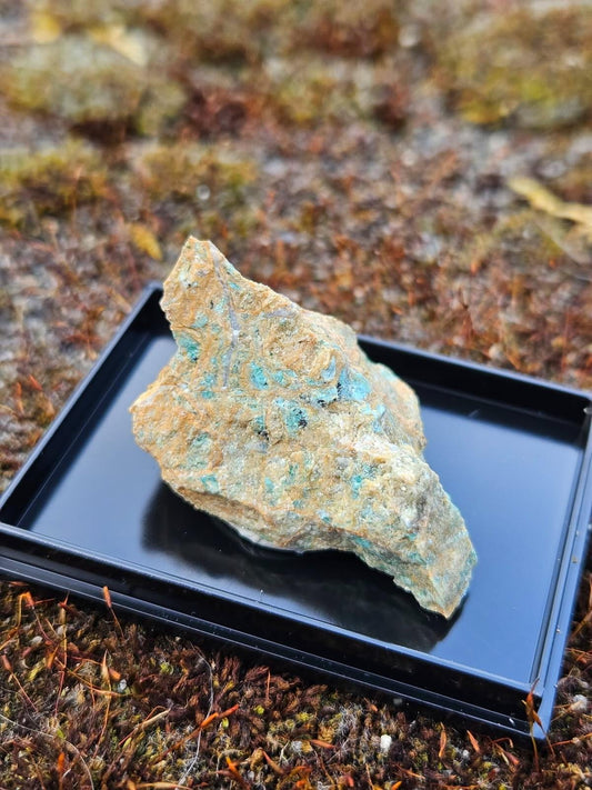 Listwanite | Mineral Display Box